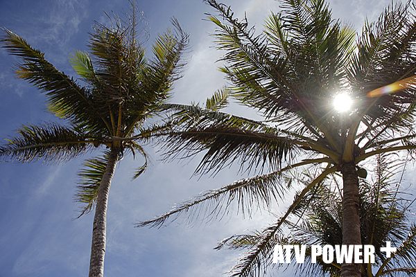 2007-04-14 093802_01